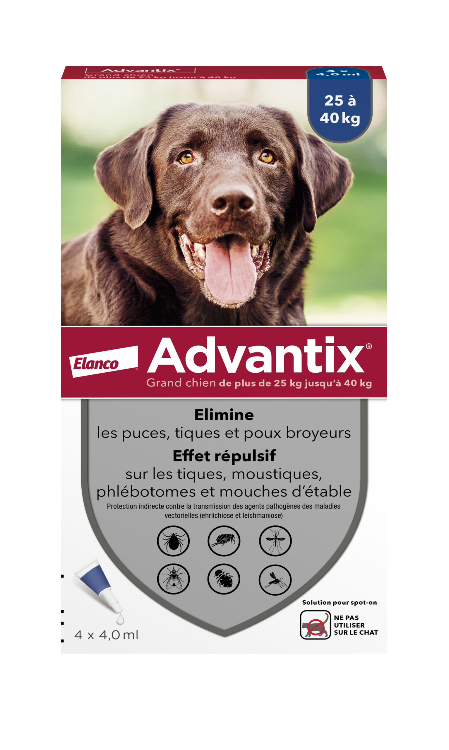 chien,phlébotome,mouche,pipette,poux broyeur,pharmacie,monexpertsanté,antiparasitaire chien,tiques chien,moustiques chien,puces chien,spot-on