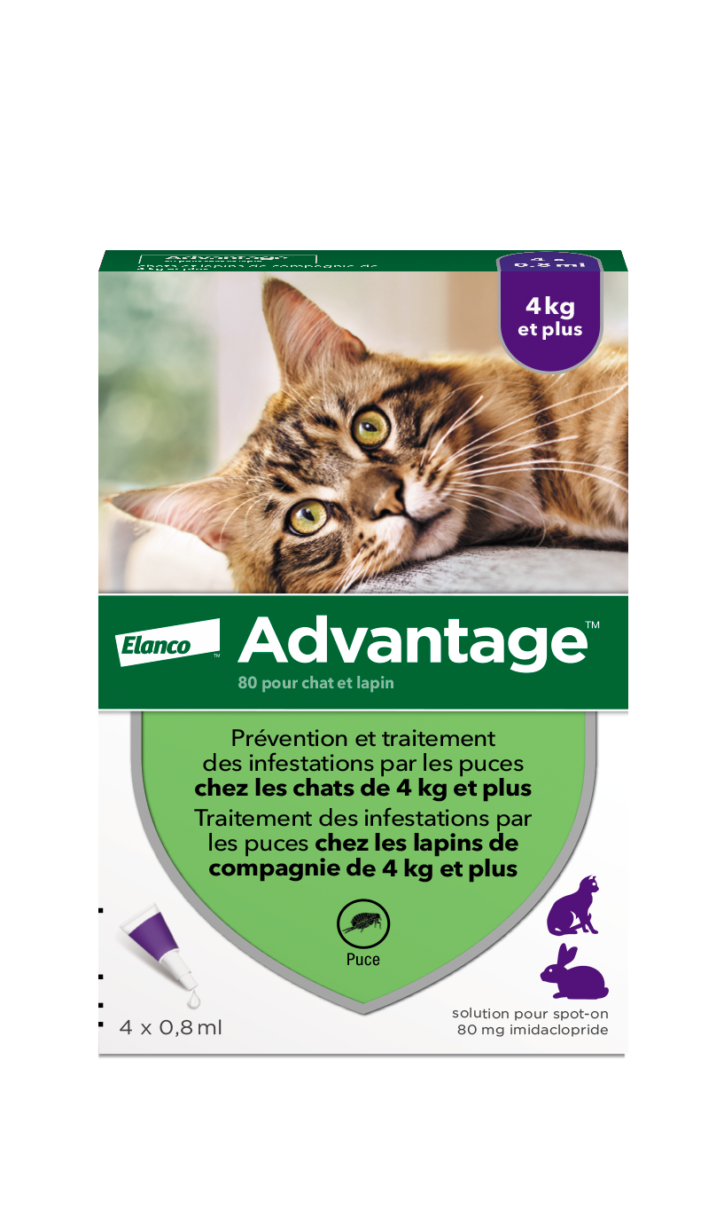 anti puces,chat,lapin,pipettes,spot-on,chaton,antiparasitaire