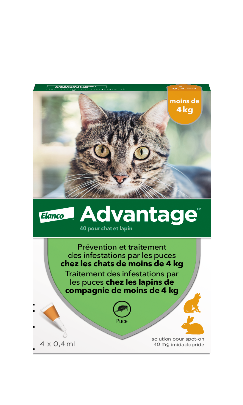 Advantage chat moins de 4kg 4 pipettes