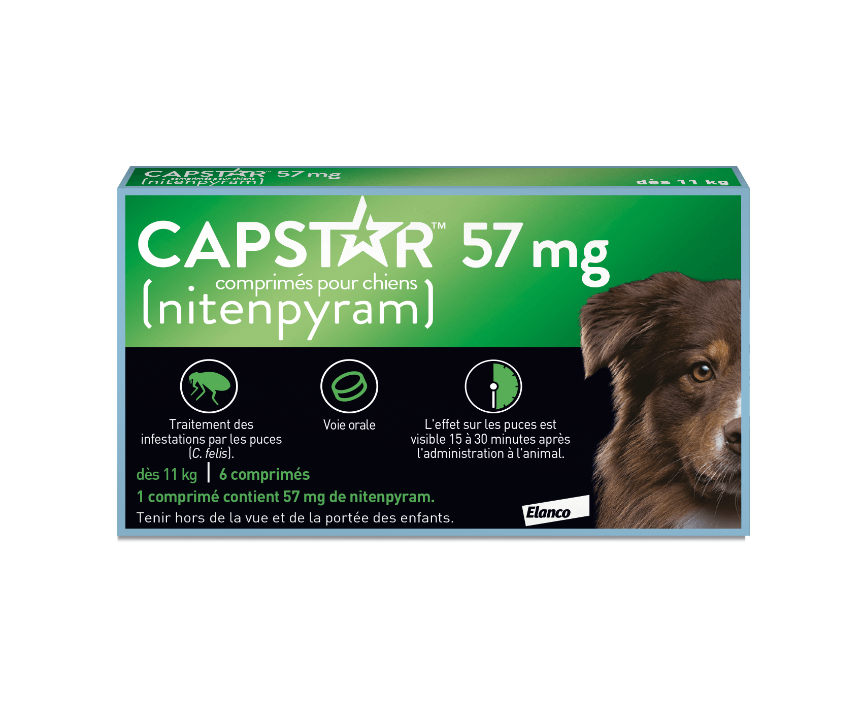 anti puce,vétérinaire,pharmacie,monexpertsanté,chat,comprimé