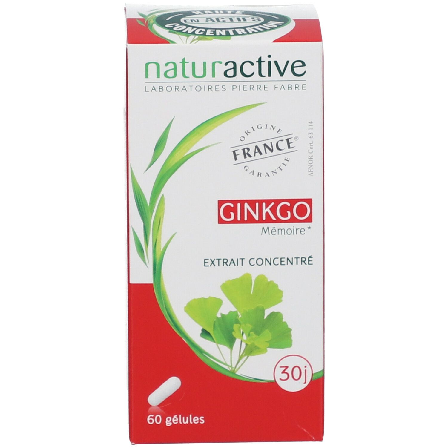 naturactive,ginkgo bio,mémoire,circulation sanguine cerveau